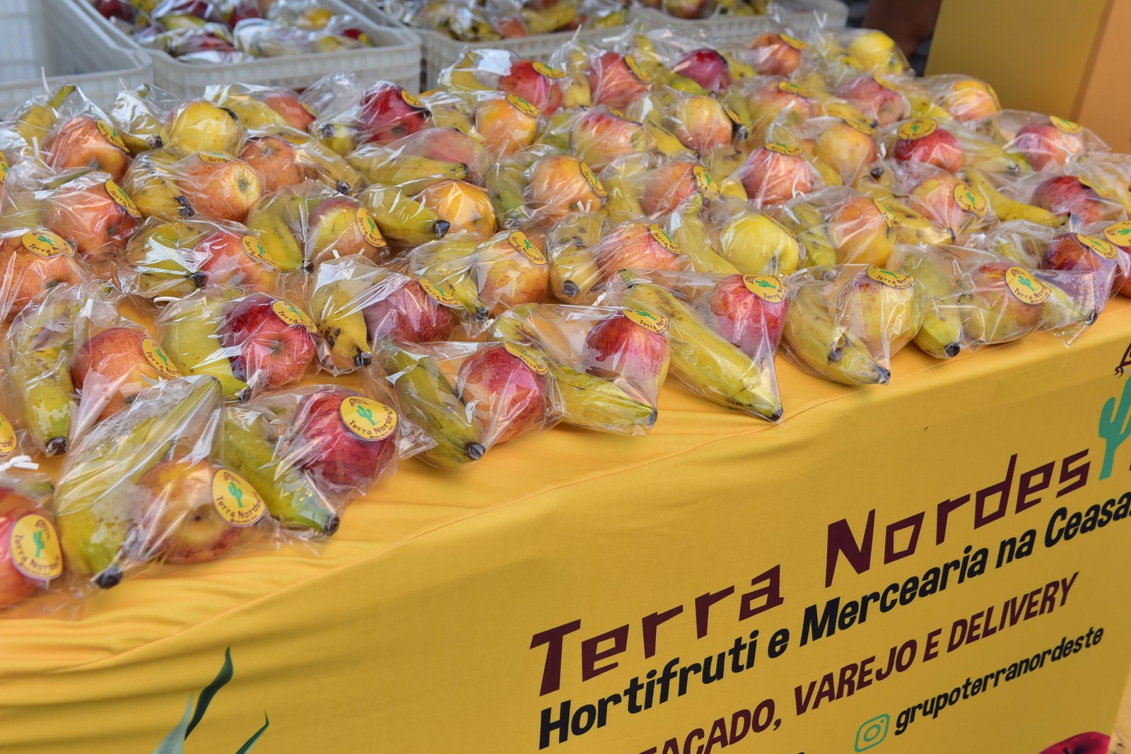 Novidades DB Runner 2026